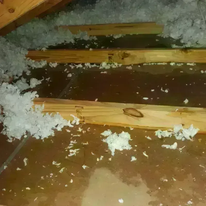 Attic Water Damage in Isle of Normandy, FL