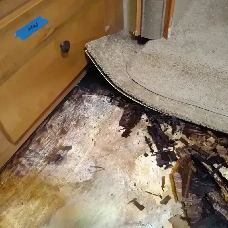 Wood Floor Water Damage in Isle of Normandy, FL